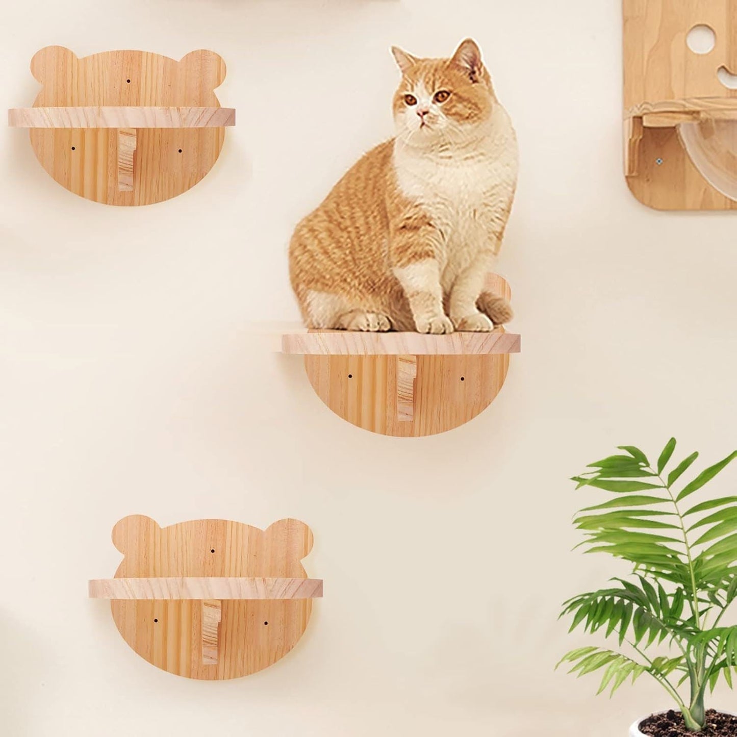 ClimbCat™- Visage Du Chat