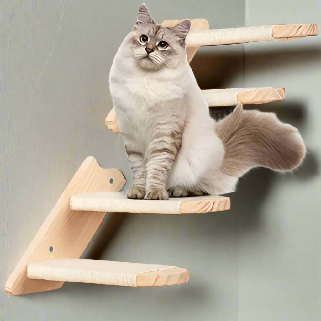 ClimbCat™- Escalier