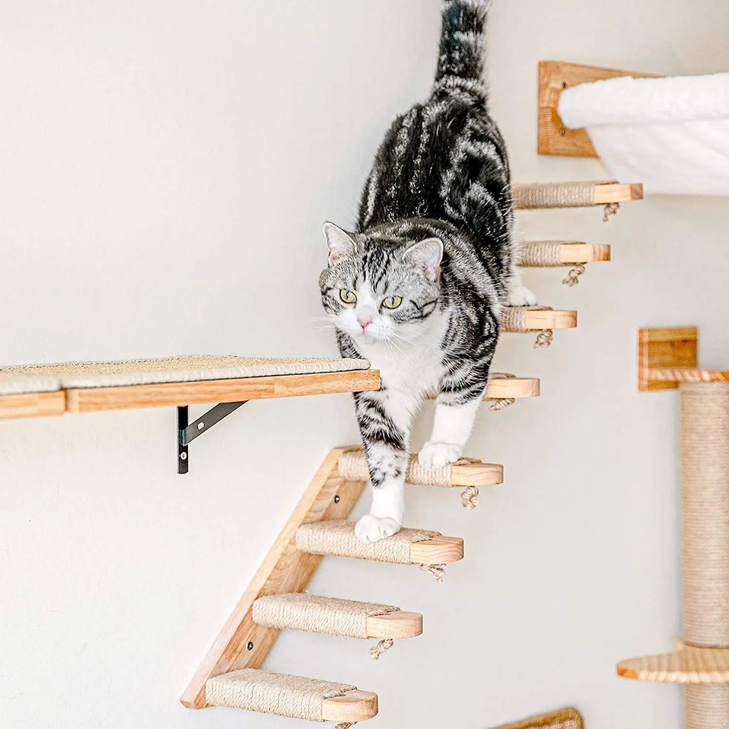 ClimbCat™- Escalier