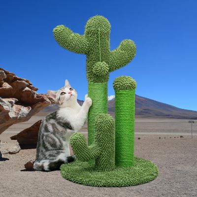 CactusScratcher™