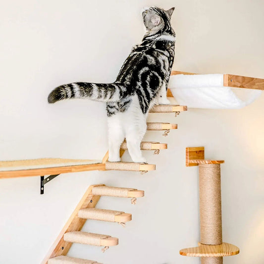 ClimbCat™- Escalier